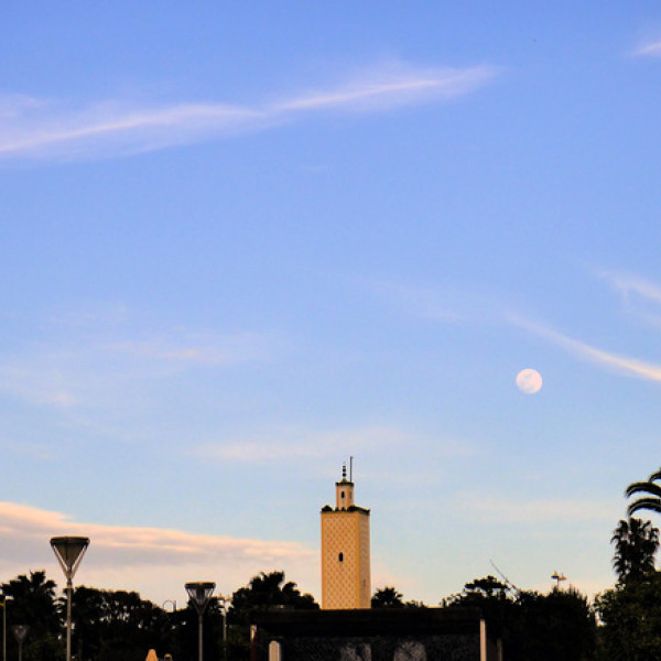 Thumbnail for Ainda a sacana da propina...