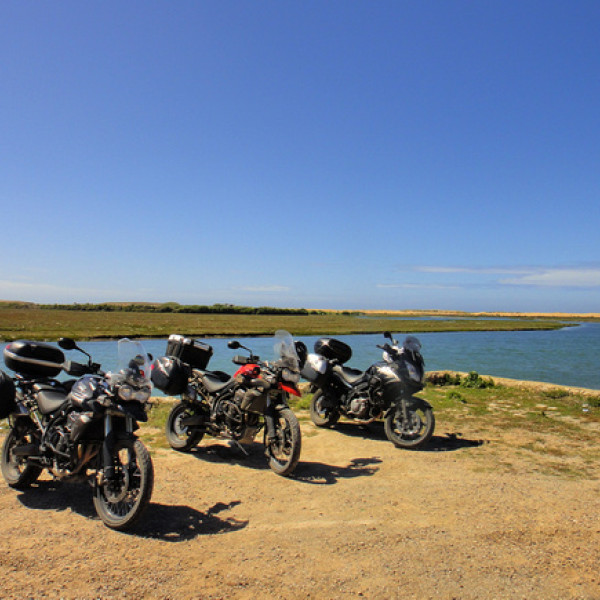 Thumbnail for O gondoleiro de Veneza