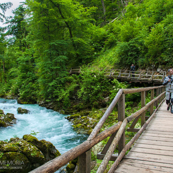 Thumbnail for Bled e arredores