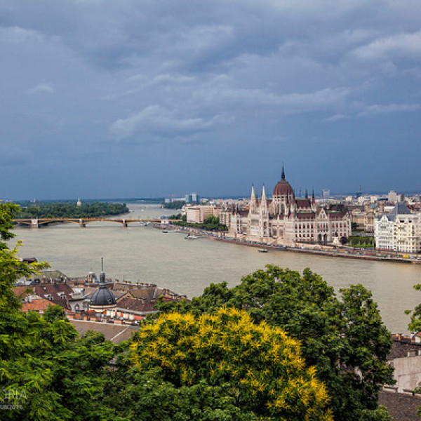 Thumbnail for Liberdade, liberdade