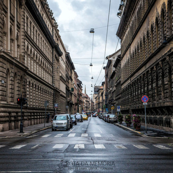 Thumbnail for Peste boa