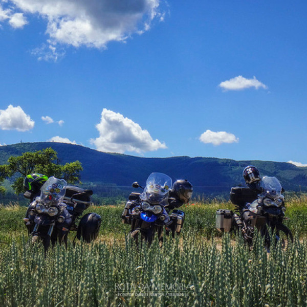 Thumbnail for Um cheirinho de Checa