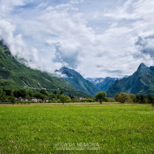 Thumbnail for Verdinho... E não é vinho
