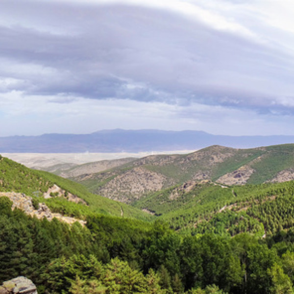 Thumbnail for Chorizo e morcilia