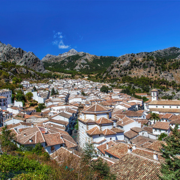 Thumbnail for Cabras Payoyas