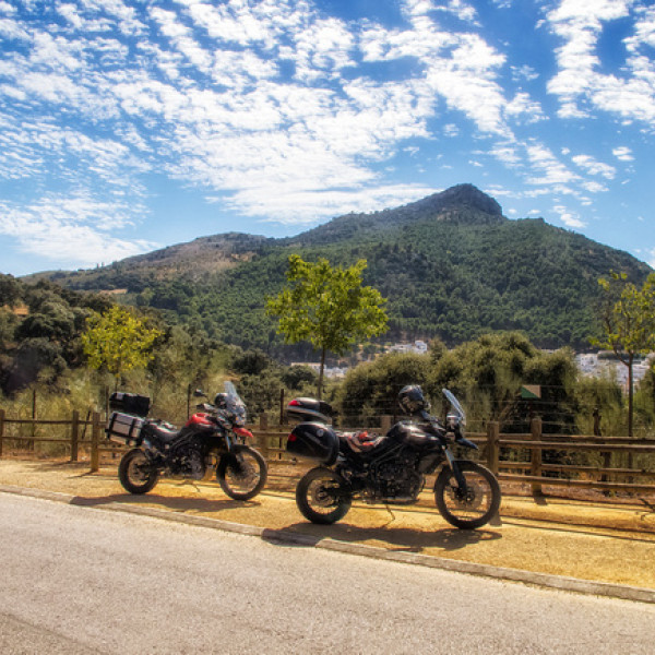 Thumbnail for De Gastor a Bodegas