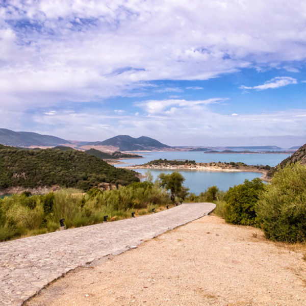 Thumbnail for O Corte da Águia