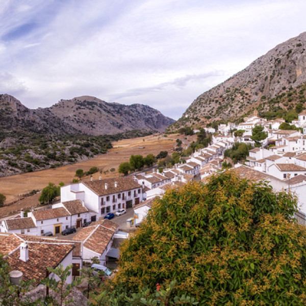 Thumbnail for Serra adentro