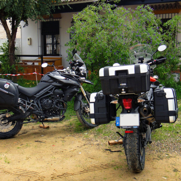 Thumbnail for Duas Tigers no Rocio