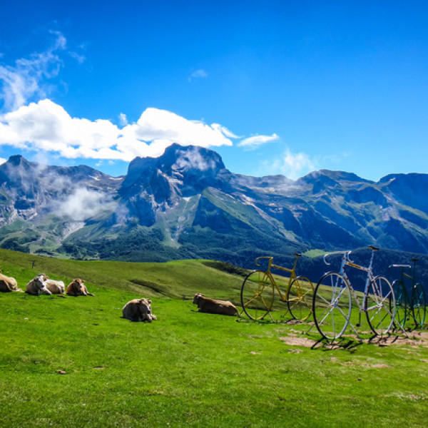 Thumbnail for De Cols em Cols