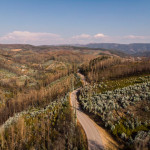 Thumbnail for Apresenta&ccedil;&atilde;o