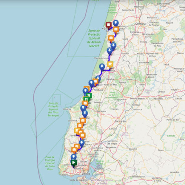 Thumbnail for Roteiro