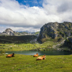 Thumbnail for Sugest&otilde;es