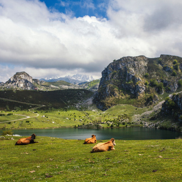 Thumbnail for Sugest&otilde;es